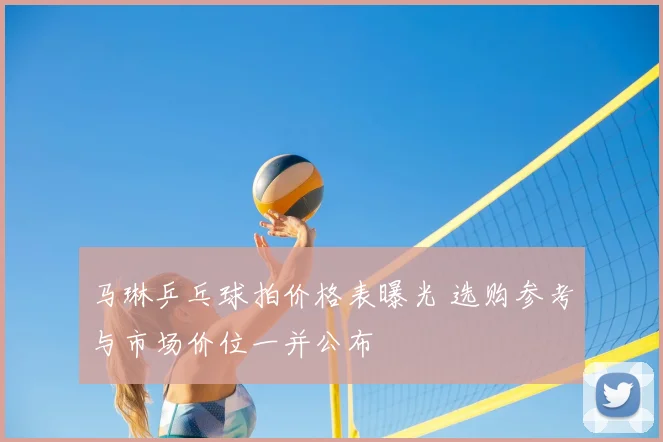 马琳乒乓球拍价格表曝光 选购参考与市场价位一并公布