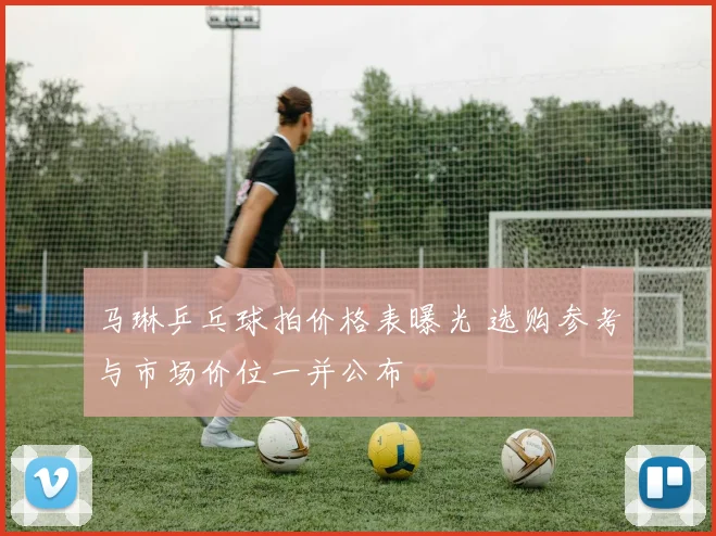 马琳乒乓球拍价格表曝光 选购参考与市场价位一并公布